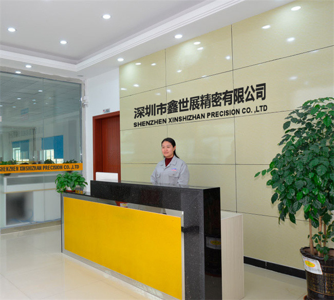 Trung Quốc Xinshizhan Precision Co., Ltd. hồ sơ công ty